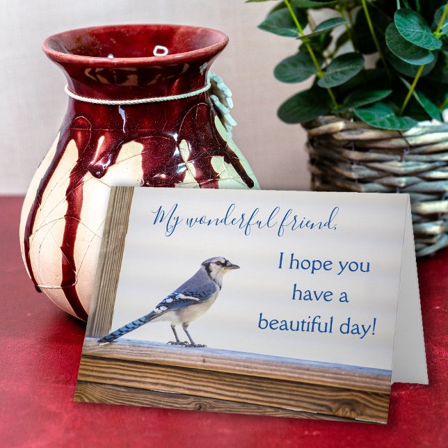 Wonderful Friend Greeting Card (Blue Jay friendship card)