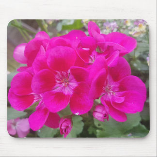 Wonderful Garden Flowers Mouse  Mat Pad