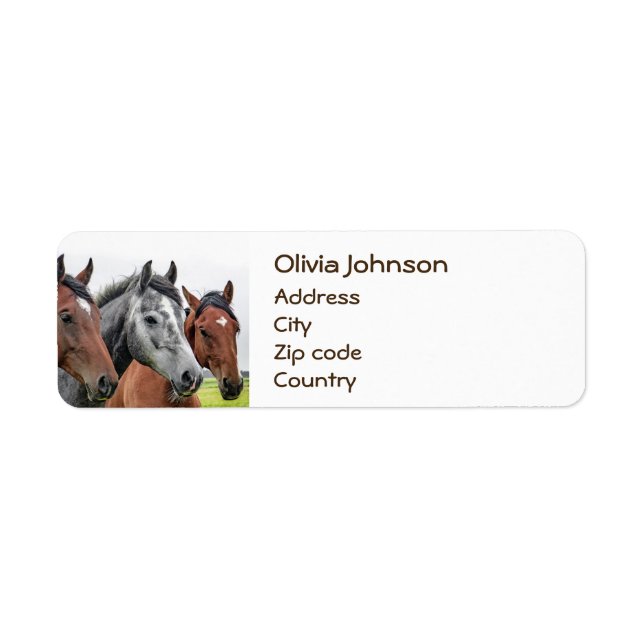 Wonderful Horses Stallion Photography (Front)