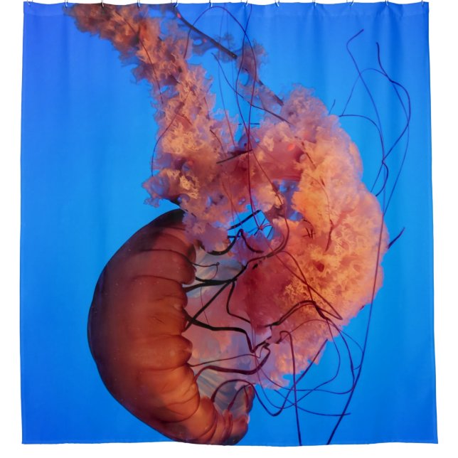 Wonderful Jellyfish (Front)