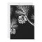 Wonderful Life 8 PH | Christmas Photo Card