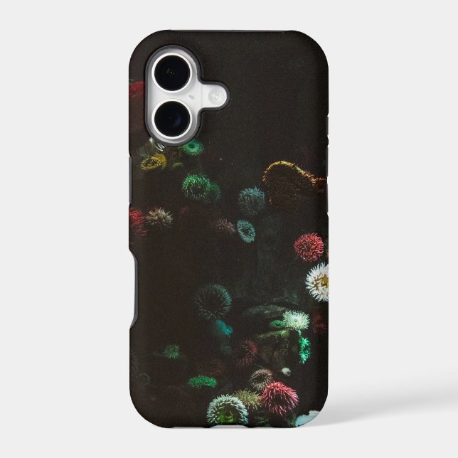 Wonderful Ocean Waves (Back)
