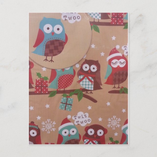 Wonderful Owl Postcard (Front)