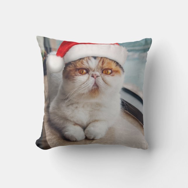 Wonderful persian cat with Santa Claus hat Throw Pillow (Front)