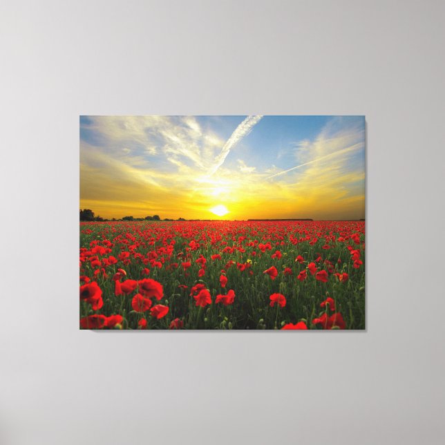 Wonderful Poppy Field Sunset Horizon Canvas Print (Front)