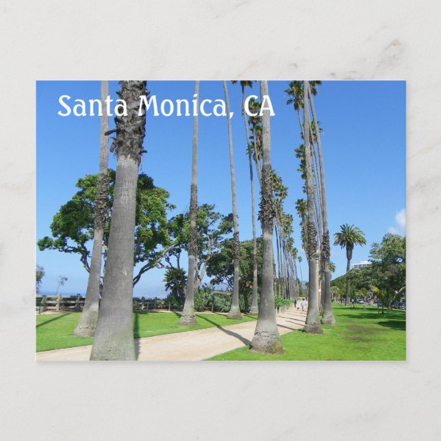 Wonderful Santa Monica Postcard! Postcard (Front)
