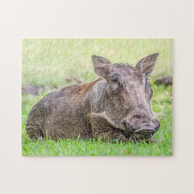 Wonderful Warthog Puzzle (Horizontal)