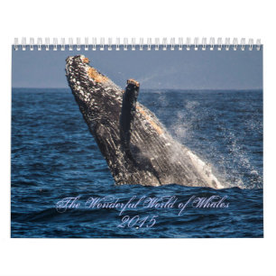 Wonderful World of Whales 2015 Calender Calendar