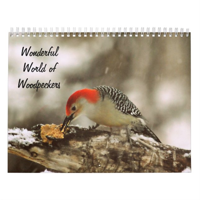 Wonderful World of Woodpeckers Two Page Calendar (Cover)