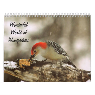 Wonderful World of Woodpeckers Two Page Calendar