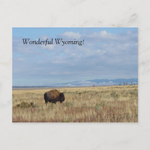 Wonderful Wyoming! Postcard