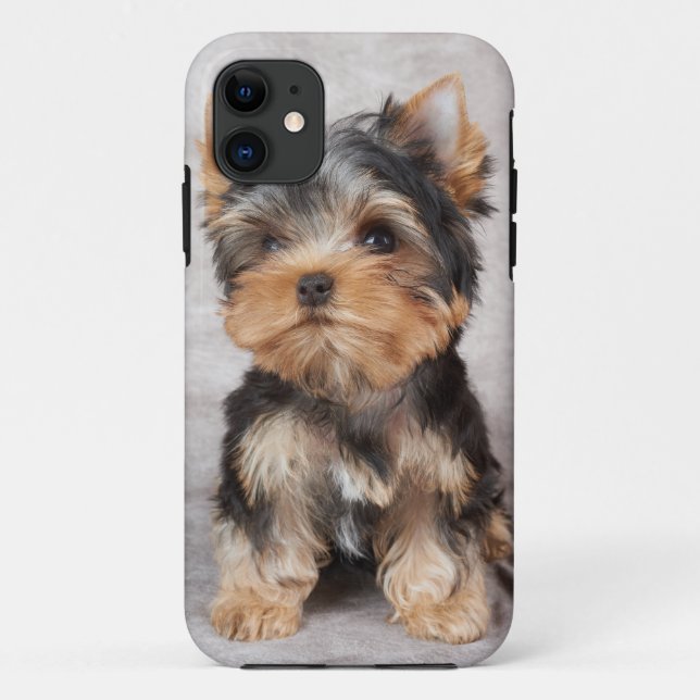 Wonderful yorkie Case-Mate iPhone case (Back)