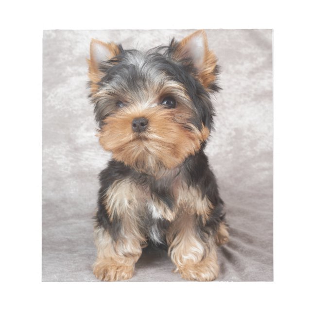 Wonderful yorkie notepad (Front)