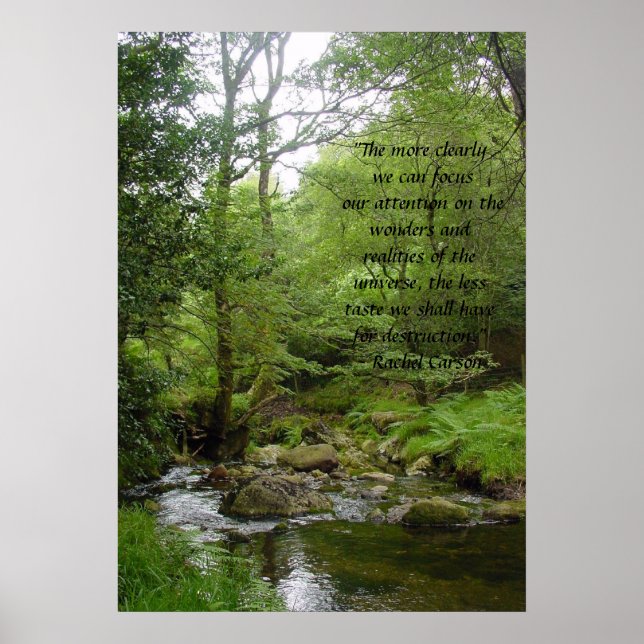 Wonders and Realities Poster (Front)