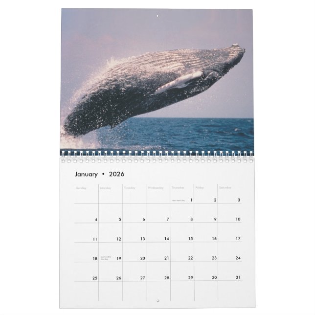 Wonders of Alaska 2012 Calendar (Jan 2026)