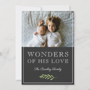 Wonders of His Love Laurel Leaf Branch Photo Holiday Card