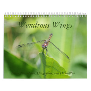 Wondrous Wings Calendar