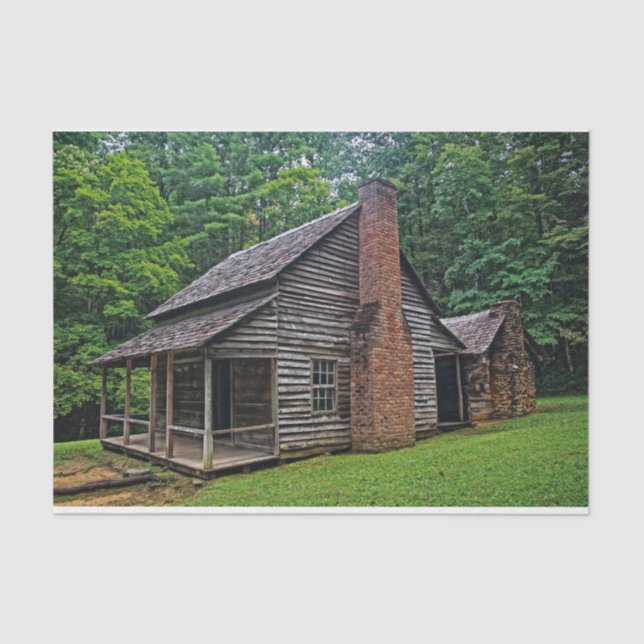 Wood and Brick Cabin in a Summer Forest Tissue Paper (Front)