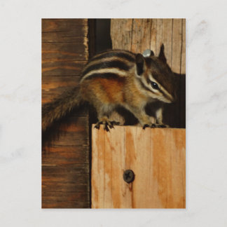 wood and chipmunk postcard