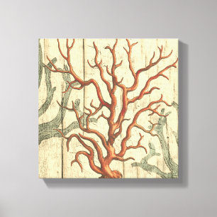 Wood and Small Coral Canvas Print