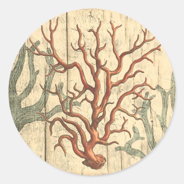Wood and Small Coral Classic Round Sticker (Front)