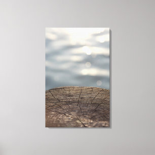 Wood and Water Canvas Print