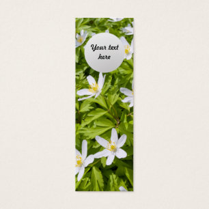 Wood Anemone