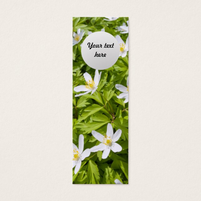 Wood Anemone (Front)