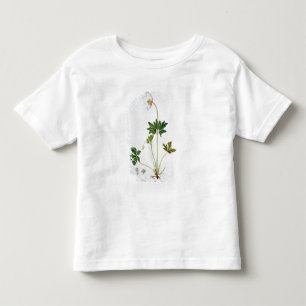 Wood Anemone from 'Phytographie Medicale' by Josep Toddler T-shirt