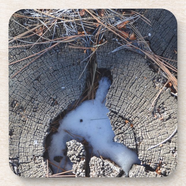 Wood Art 2 Coasters (Front)