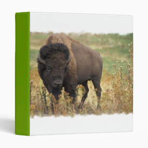 Wood Bison Binder