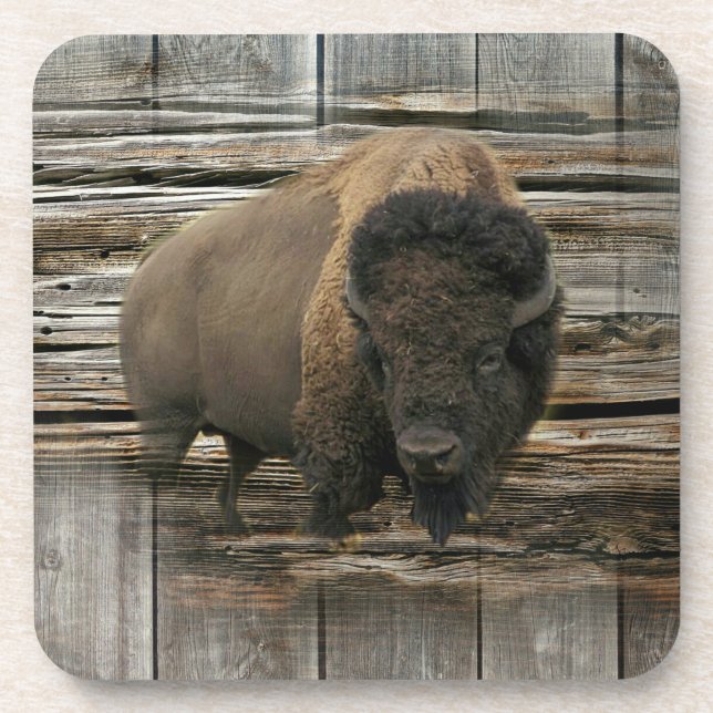 Wood Bison Coaster (Front)