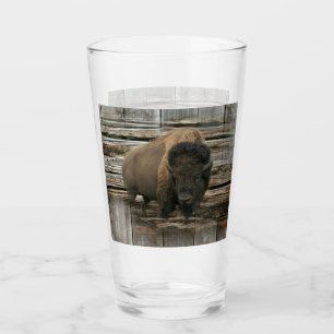 Wood Bison Glass