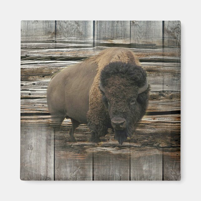 Wood Bison Magnet (Front)
