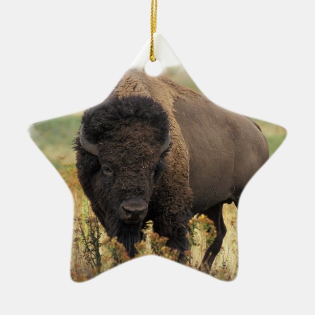 Wood Bison Ornament (Front)