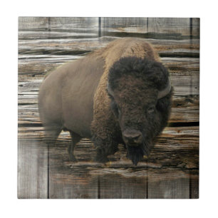 Wood Bison Tile