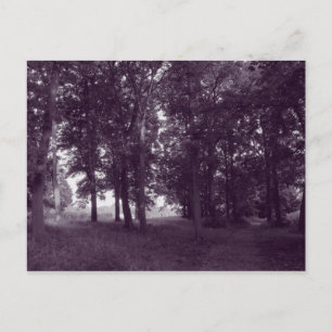 Wood, Bute Park Cardiff - Purple toned Postcard