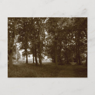 Wood, Bute Park Cardiff - Sepia toned Postcard
