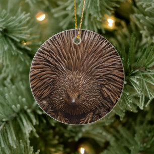 Wood Carved Australian Echidna,  Ceramic Ornament