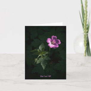 Wood Crane's Bill blank notelet / card