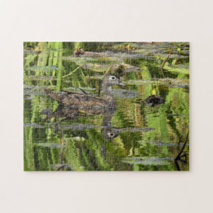 Wood Duck and Reflection Jigsaw Puzzle