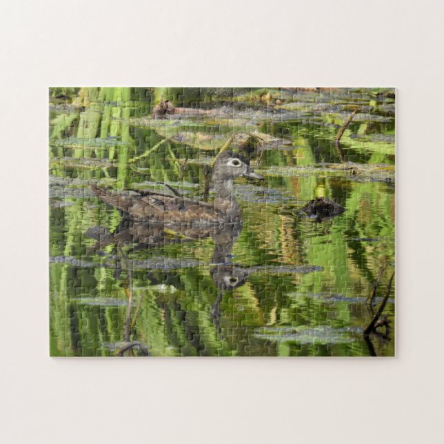 Wood Duck and Reflection Jigsaw Puzzle (Horizontal)