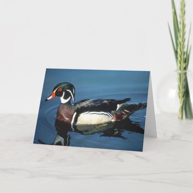 WOOD DUCK CARD (Front)