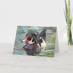 Wood Duck Card