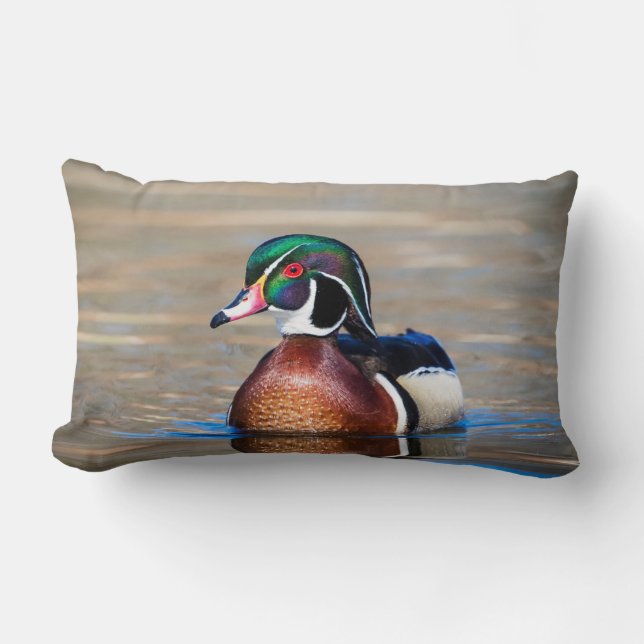 Wood Duck in a pond Lumbar Pillow (Front)