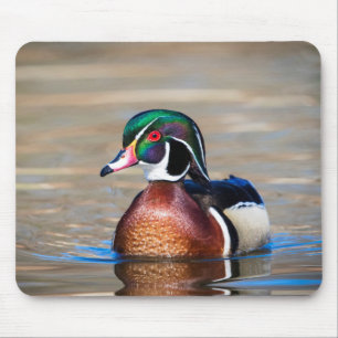 Wood Duck in a pond Mouse Pad