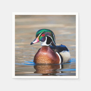 Wood Duck in a pond Napkin