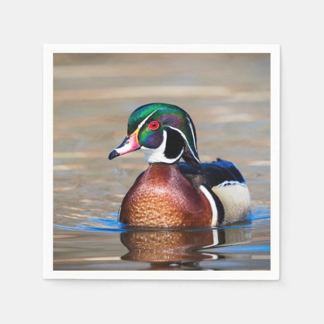 Wood Duck in a pond Napkin (Front)