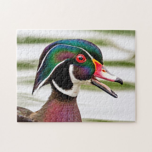 Wood Duck Jigsaw Puzzle (Horizontal)
