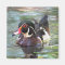 Wood Duck Magnet